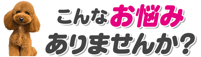 こんなお悩みありませんか？