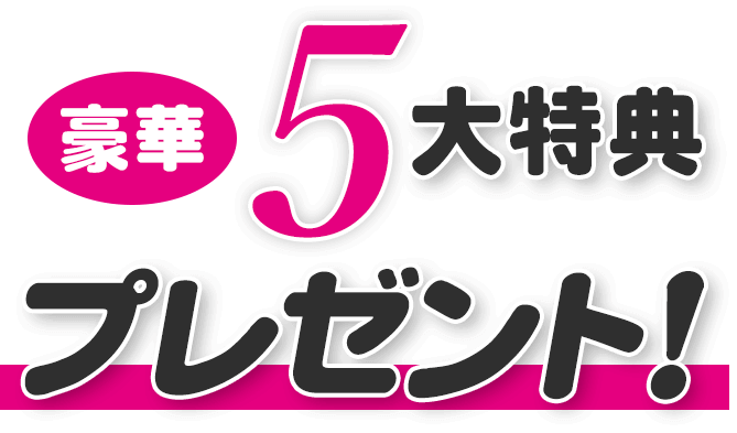 Lp1 福岡市 春日市 粕屋郡で犬 猫のトリミング ペットサロンなら80dog S ハチマルドッグス